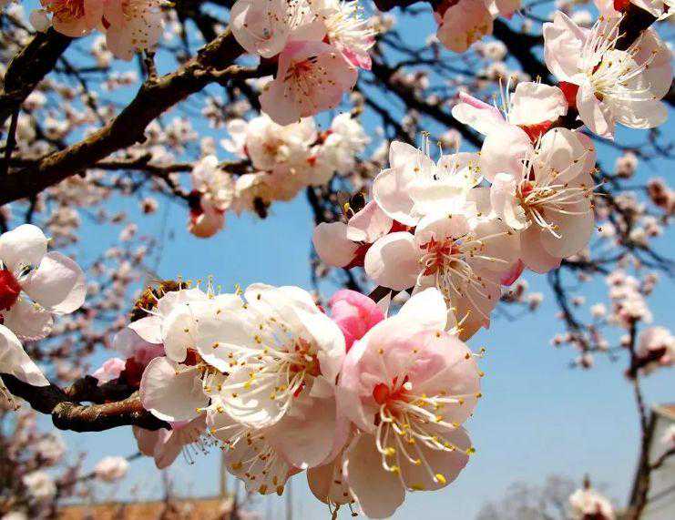 营销的终点是B2B