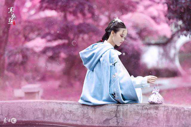 小说：女强人穿越到农村，嫁贫寒秀才，被婆婆逼着起早贪黑养兔子