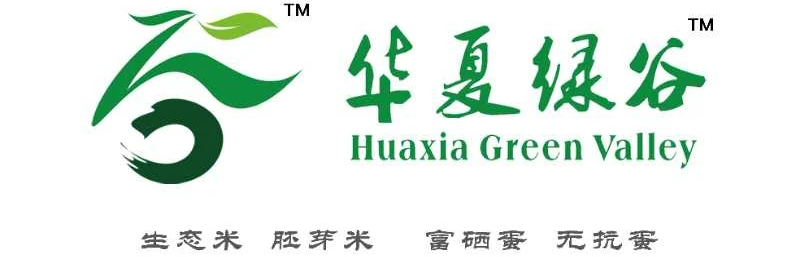 车祸猛于虎：赛豹子夜“狂吻”捷达，一女受伤……