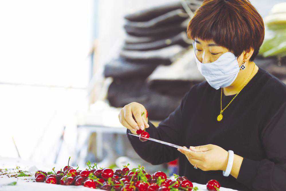 希望的田野｜福山大樱桃：“春果第一枝”名不虚传