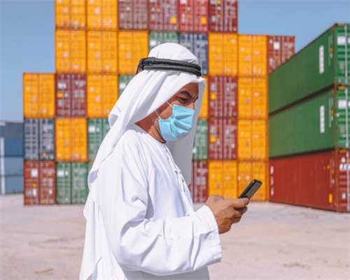 益阳市二手车保养记录怎样查