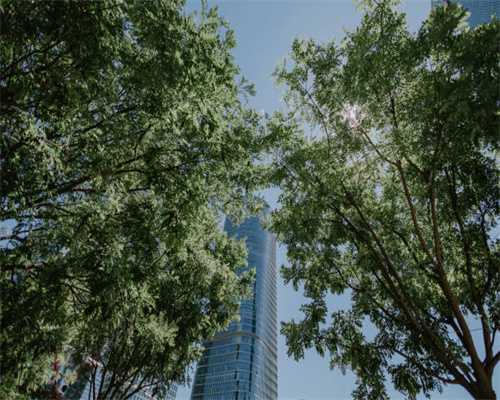 宝马i8：新车落地200多万，现在二手价格80多万能买么？