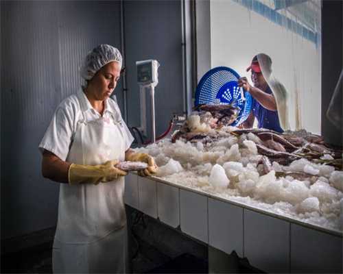 接单代刷千个粉丝只要130元！化州男子充当水军赚5万被拘