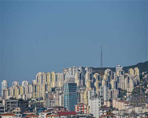 挂假牌用假证“三假”司机被重罚