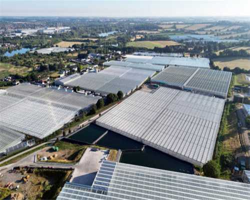 718劲爆团购会途观LPHEV优惠2.9万起