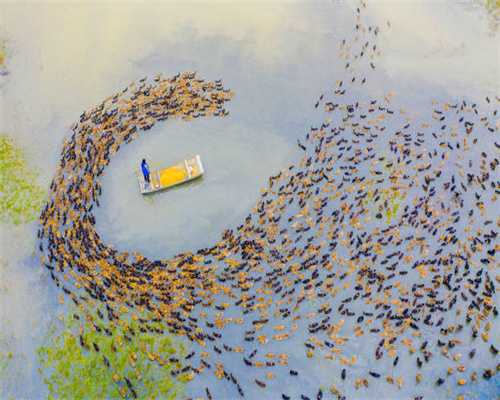 约26.46万人民币起，新款奥迪A3海外售价曝光，放在国内能打吗？