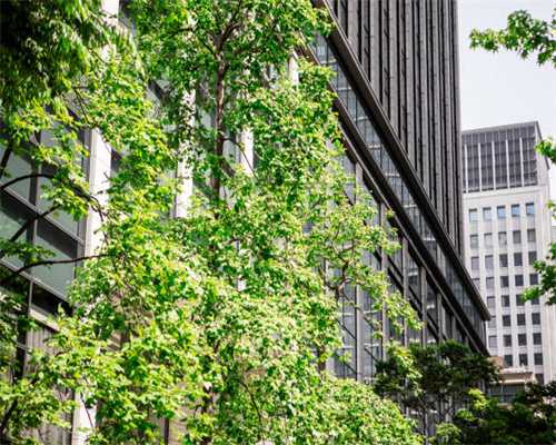 艾瑞泽5真实油耗被晒，车主：我和小泽的故事