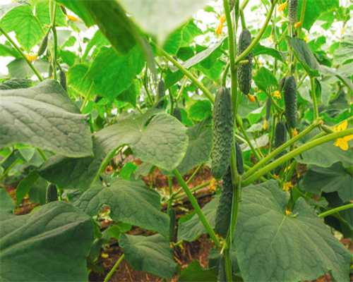 荣威发布全球首款5G概念车Vision-i，造型科技感十足