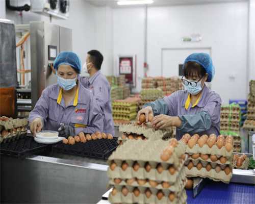 起底存活26年的跨境传销组织香港亮碧思：敛财百亿炫富杀熟