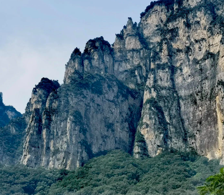 我为什么要卖车？