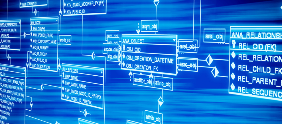 新一代CR-V发布！思域的内饰，沃尔沃的屁股？合资SUV最怕的主来了